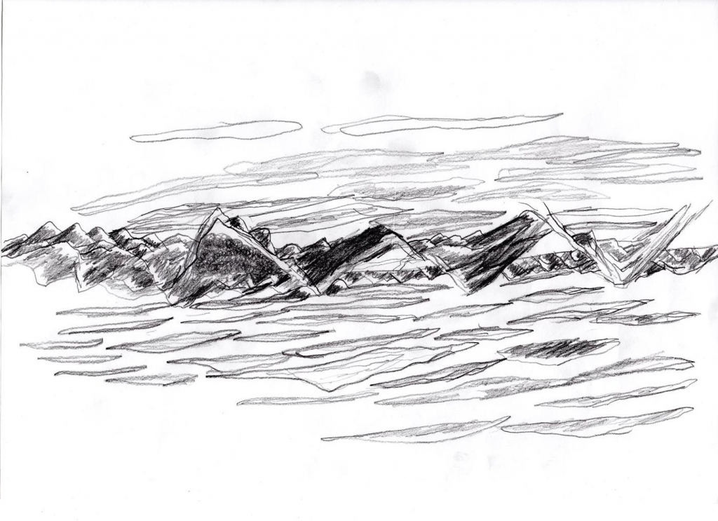 selva020 rotated (Copy) - copia